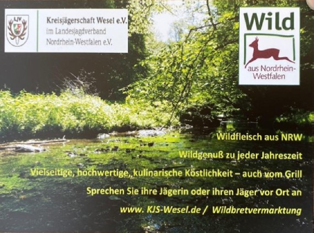 Flyer Wildfleisch aus NRW